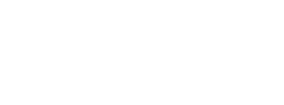NT Logo